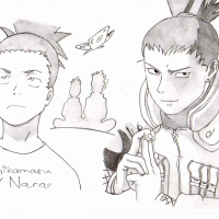 Shikamaru for HiTomi-chan